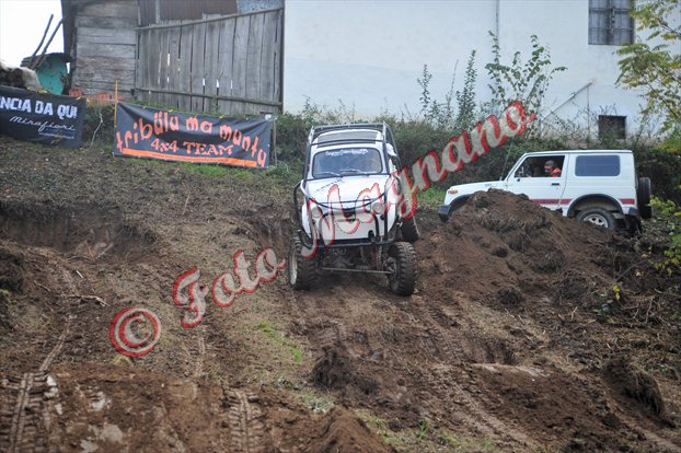 DSC_3789.jpg